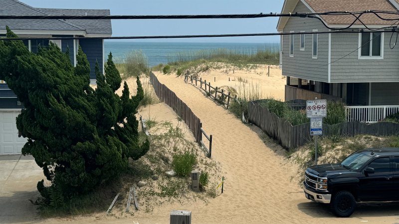 Driftwood – View