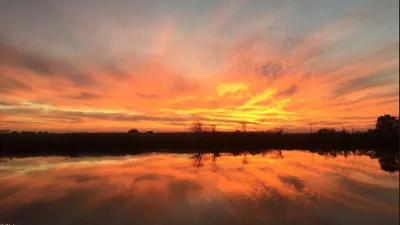 Dragonfly Landing – Sunset