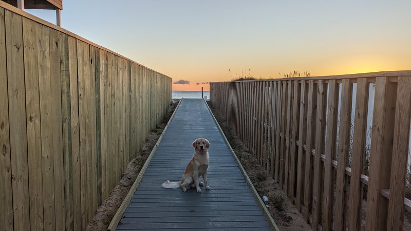 Munchkin's Place – New Path to the Beach